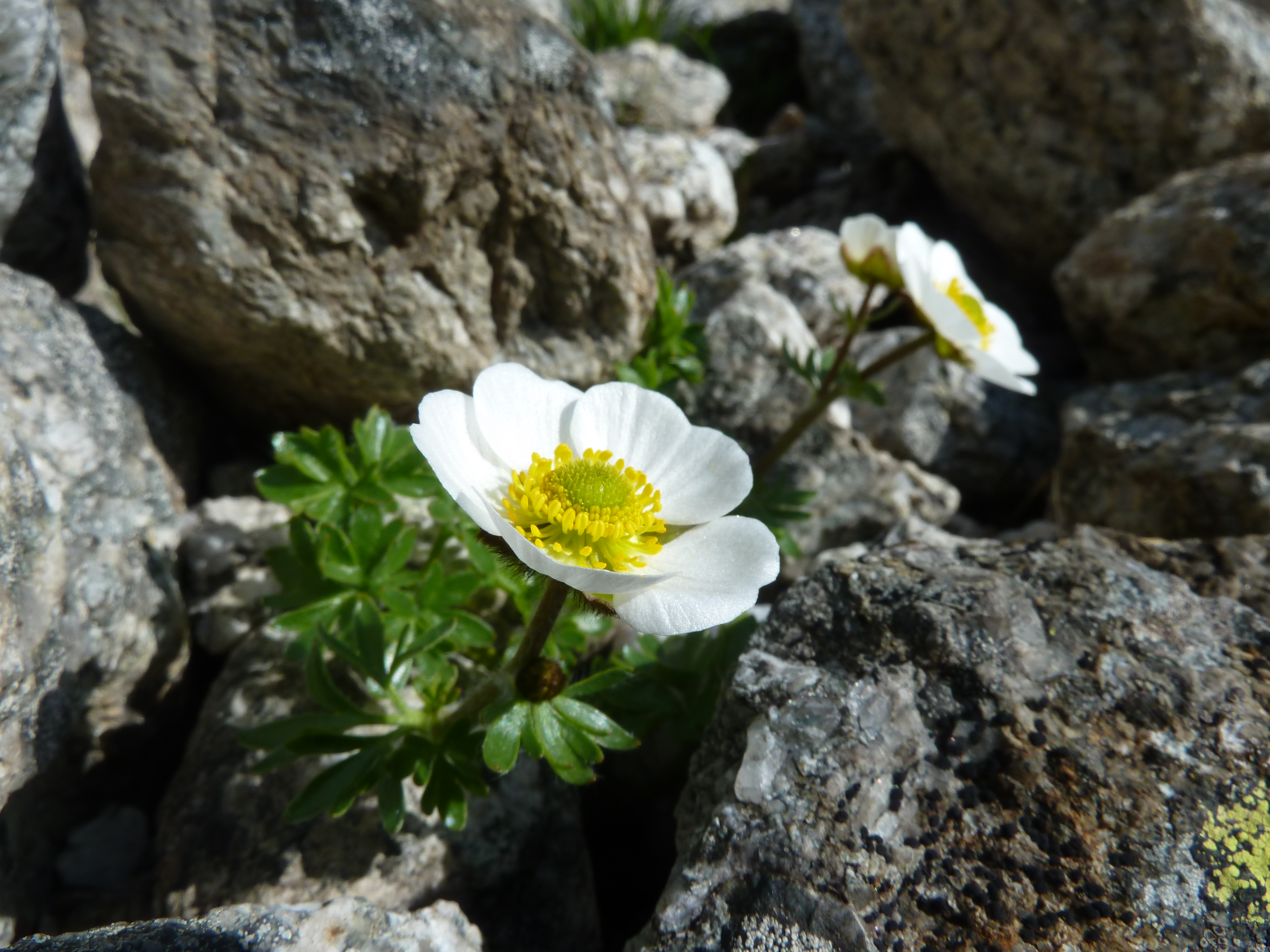 Trient-Lumix_LMoreau 036