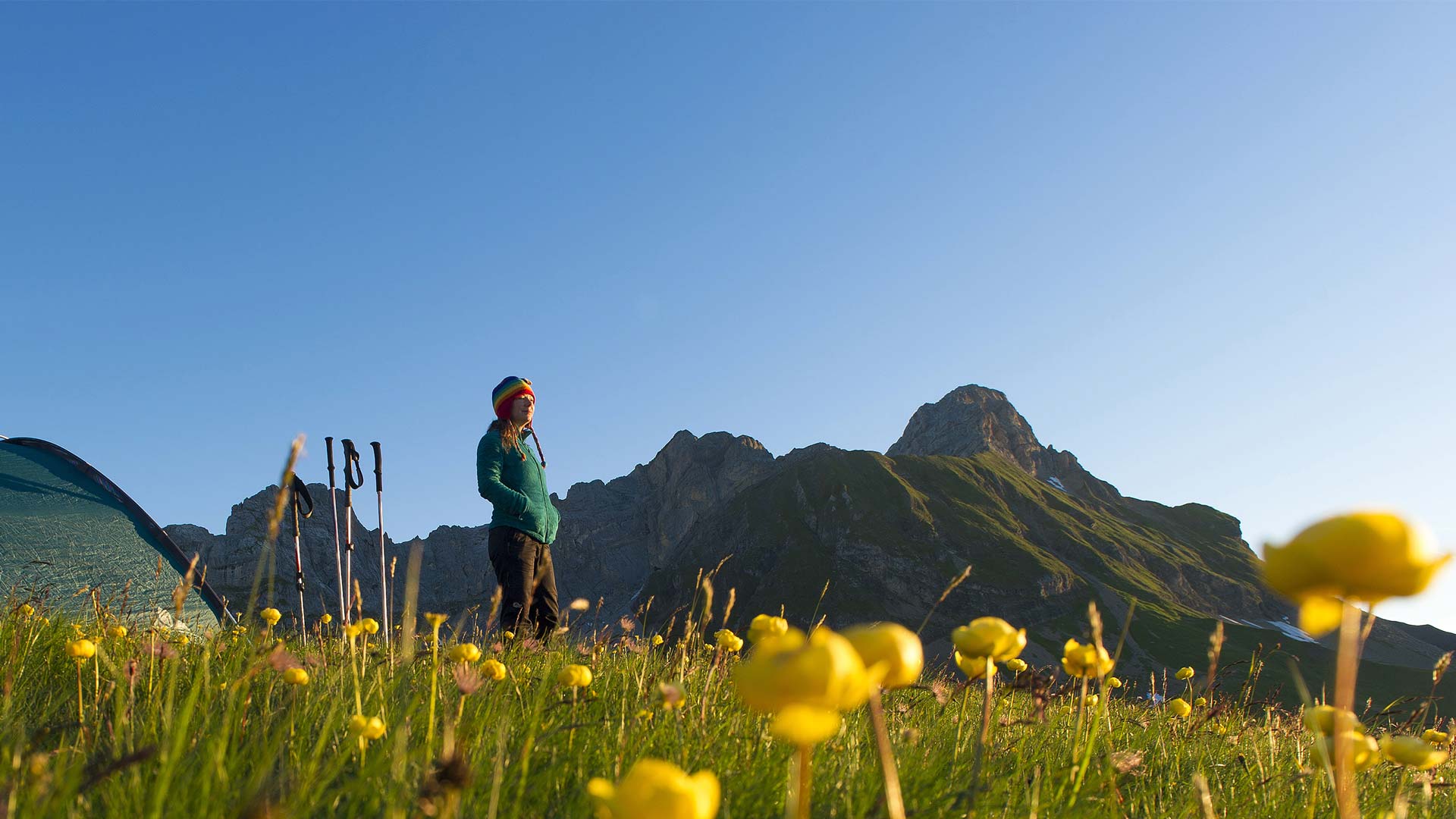 Universite_des_alpes_background