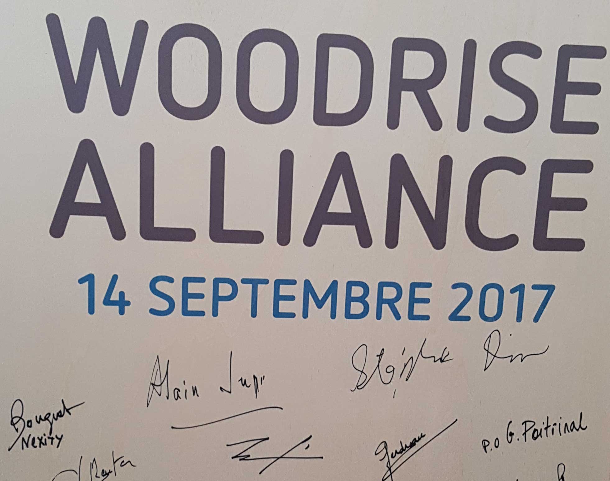 woodrise